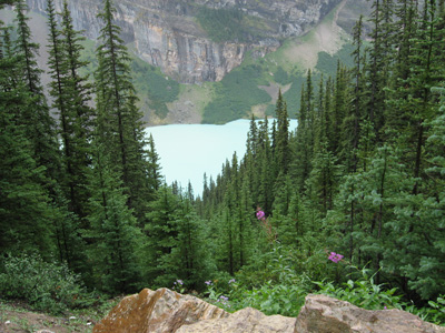 Lake Louise from the trail up to Lake Agnes